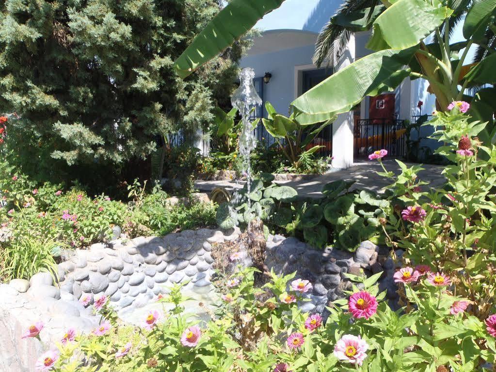 Blue Sky Hotel - Petra - Lesvos - Greece 외부 사진